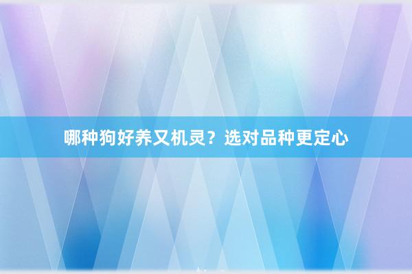 哪种狗好养又机灵？选对品种更定心